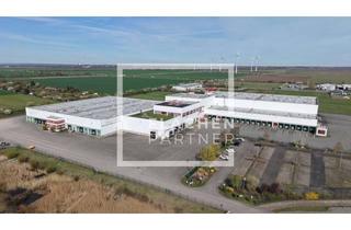 Gewerbeimmobilie mieten in 39171 Sülzetal, Langenweddingen – 19.710 m² – Logistikimmobilie zur Miete