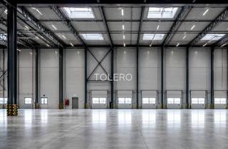 Gewerbeimmobilie mieten in 40822 Mettmann, Lagerhalle | 1400 m² | ebenerdig | Top Lage