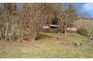 Immobilie kaufen in 97320 Buchbrunn, Großes Freizeitgrundstück zwischen Weingärten