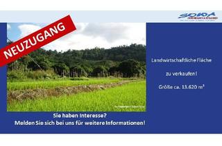 Immobilie kaufen in 86669 Königsmoos, Großzügige Landwirtschaftsfläche in Untermaxfeld - Ein Objekt von SOWA Immobilien & Finanzen Ihrem Immobilienprofi vor Ort