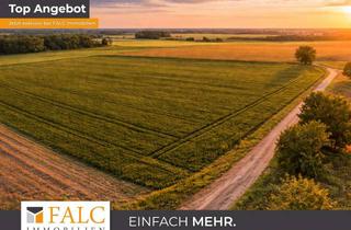 Immobilie kaufen in 23942 Dassow, Ca. 14 ha Ackerland bei Dassow – gute Bodenwerte, verpachtet, attraktive Kapitalanlage