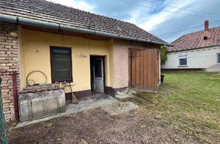 Einfamilienhaus kaufen in 87745 Eppishausen, Eppishausen - Lehmhaus mit Nebengebäuden und Brunnen auf 6000 qm