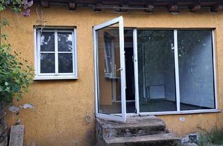 Reihenhaus kaufen in 17309 Pasewalk, Pasewalk - Charmantes Reihenhaus in zentraler Lage von Pasewalk