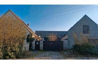 Haus kaufen in 39279 Loburg, Gommern - Dreiseitenhof mit massiver Scheune, Stall+ Weideland. Tierhaltung