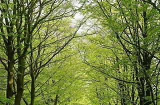 Wohnung kaufen in 01454 Radeberg, 4-Raum Wohnung mit Terrasse & Garten in Ullersdorf!