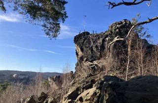 Wohnung mieten in Teufelsmauer, 38889 Blankenburg, Großzügige 180 qm Whg./Haush.mit Kamin, Terrasse und Schlossblick-viel Platz für Paare oder Familien