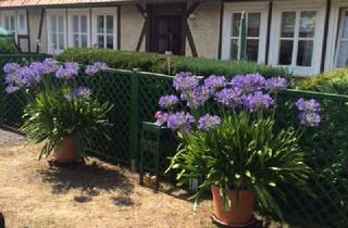 Wohnung mieten in Hüttenstrasse 32, 36205 Sontra, 3-Zimmerwohnung im *Luftkurort Sontra*