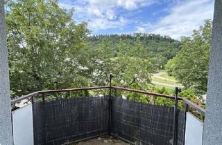 Wohnung mieten in 78247 Hilzingen, 1-Zi.-Whg. mit Balkon in Twielfeld