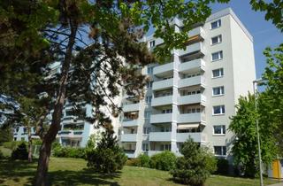 Wohnung mieten in Adolf-Diesterweg-Straße 89, 67071 Oggersheim, helle 2-Zimmer-Wohnung in Ludwigshafen