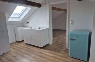 Wohnung mieten in 77955 Ettenheim, Helle 1,5 -Zimmer Wohnung in Ettenheim