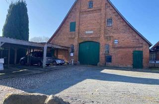 Wohnung mieten in 23896 Nusse, Charmante 3-Zimmer Wohnung mit Terrasse und großem Garten - zentrale Lage in Nusse