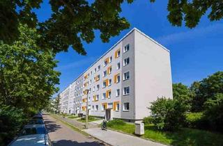 Wohnung mieten in Schmiedeberger Str. 41, 01277 Tolkewitz/Seidnitz-Nord, Preisgünstige und zugleich praktische 4-Zi.-Wohnung