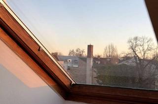 Wohnung mieten in Ludwig-Wucherer-Straße 16, 06108 Halle, nähe Steintor Campus / 1 Zimmer DG