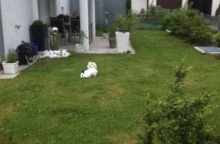 WG-Zimmer mieten in 85232 Bergkirchen, Kleine Mädels-WG mit Herz, Hündin & großem Garten sucht passende Mitbewohnerin