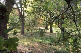 Haus kaufen in 09648 Altmittweida, BAUEN SIE EIN BAUMHAUS FÜR IHRE KINDER - IM GARTEN IHRES EIGENEN HAUSES! TEL.: 0171 4863595