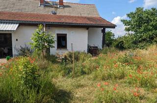 Bauernhaus kaufen in 06420 Könnern, Idyllisch gelegenes Bauernhaus. Perfekt als Wochenend- oder Sommerhaus.