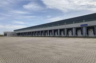 Gewerbeimmobilie mieten in 06420 Könnern, Teilbare Cross Docking - Block- Lager- und Produktionsflächen