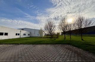 Gewerbeimmobilie kaufen in 97877 Wertheim, Moderne Produktionshalle mit Büro- und Erweiterungsfläche