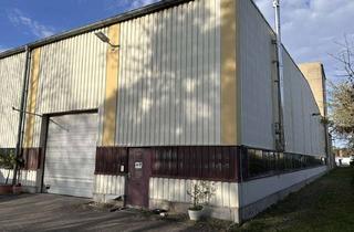 Büro zu mieten in 63762 Großostheim, Produktionshalle mit Büroflächen - provisionsfrei