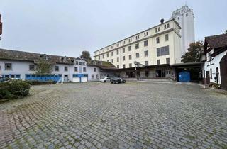 Gewerbeimmobilie kaufen in Mühlenstraße 9b, 61194 Niddatal, Historisches Mühlenanwesen mit Nebengebäuden im Ortskern von Niddatal - Assenheim