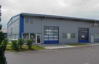Büro zu mieten in 89179 Beimerstetten, Halle mit Bürofläche