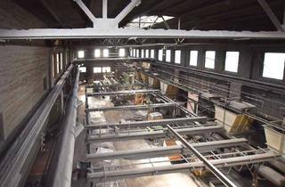 Gewerbeimmobilie kaufen in 38170 Schöppenstedt, Industriehalle mit Freifläche in Schöppenstedt!