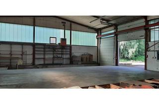 Gewerbeimmobilie mieten in Dr. Humpert Straße 41, 69427 Mudau, Gewerbefläche in Massivbauhalle im Neckar- Odenwaldkreis
