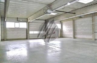 Büro zu mieten in 63755 Alzenau, SCHNELL VERFÜGBAR ✓ Lagerflächen (1.100 m²) mit kleinen Büro-/Sozialräumen zu vermieten