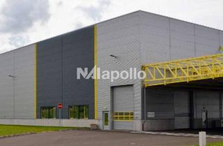 Büro zu mieten in 63505 Langenselbold, Regaliert! | 1.800m² Lagerfläche | 400m² Bürofläche