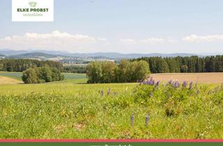 Grundstück zu kaufen in Johannisberg 1a, 92526 Oberviechtach, Baugrund in Alleinlage mit einem Traum-Ausblick