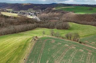 Grundstück zu kaufen in 01809 Müglitztal, Grundstück - ca. 20 km von Dresden entfernt