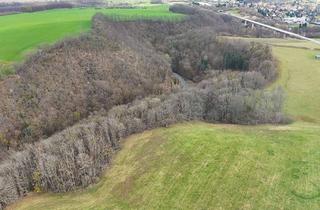 Grundstück zu kaufen in 01819 Bahretal, 4,4 ha Wald an der Bahre