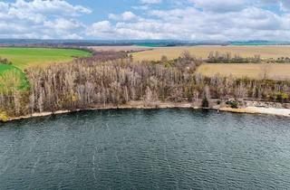 Grundstück zu kaufen in 06712 Kretzschau, 2,7 ha Wald am Kretzschauer See