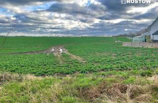 Grundstück zu kaufen in 18196 Dummerstorf, Baugrundstück mit Südausrichtung bei Dummerstorf