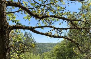 Grundstück zu kaufen in 93182 Duggendorf, Nähe Regensburg - idyllisches Freizeitgrundstück auf der Girnitz