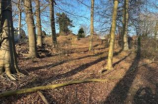 Grundstück zu kaufen in 21514 Büchen, Erfüllen Sie sich Ihren Wohntraum - großes Baugrundstück in der Natur - Büchen