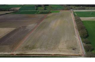 Gewerbeimmobilie kaufen in 59348 Lüdinghausen, Ca. 5,3 ha Ackerland in Lüdinghausen