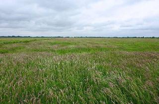 Gewerbeimmobilie kaufen in 28719 Blockland, Grünlandfläche in Bremen – Großes Grundstück zur landwirtschaftlichen Nutzung