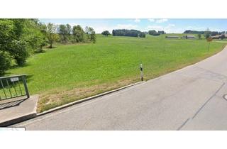 Gewerbeimmobilie kaufen in 86935 Rott, Rott (LKR Landsberg am Lech) Wiese, Landwirtschaftliche Nutzfläche