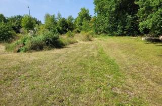 Gewerbeimmobilie kaufen in 37445 Walkenried, Ebenerdiges Grundstück, ideal geeignet als Lagerplatz für Holz - Mietkauf möglich -