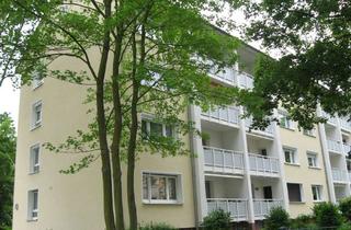 Wohnung mieten in Schwarzerlenweg, 65933 Griesheim, Modernisierte 3-Zimmer-Wohnung teilmöbliert, EBK und Balkon, im Grünen und doch zentral