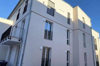 Wohnung mieten in 14482 Babelsberg Nord, Charmante 1-Zimmer Wohnung in Potsdam-Babelsberg Nord