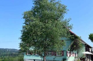 Wohnung mieten in Dressen, 88171 Weiler-Simmerberg, Teilmöblierte Maisonette-Wohnung mit fünf Zimmern sowie Balkon und Einbauküche in Weiler-Simmerberg