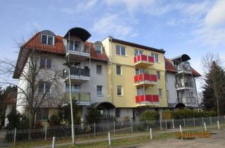 Wohnung mieten in Chemnitzer Straße 108, 12621 Kaulsdorf, 4,5 Zi. große Familiensouterrainwohnung mit kleiner Terrasse Bes. nur nach tel. Vereinbarung