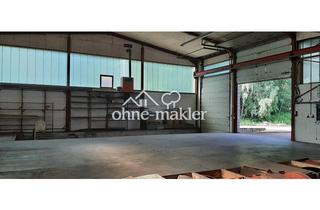 Büro zu mieten in 69427 Mudau, Gewerbefläche in Massivbauhalle im Neckar- Odenwaldkreis