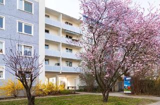 Wohnung mieten in Ernst-Barlach-Straße 30, 03046 Ströbitz, Ruhige Wohnung ohne Obermieter