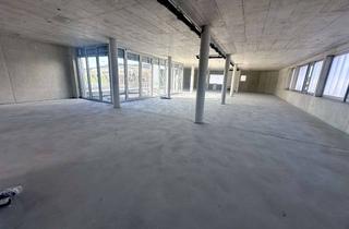 Büro zu mieten in 78247 Hilzingen, Beeindruckende, moderne Büroetage im Neubau nach Absprache zu vermieten.