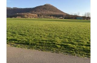 Immobilie mieten in 72660 Beuren, 1-Zimmer Wohnung/Pendlerwohnung