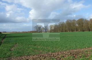 Immobilie kaufen in 38543 Hillerse, Ackerland zwischen Hillerse und Leiferde