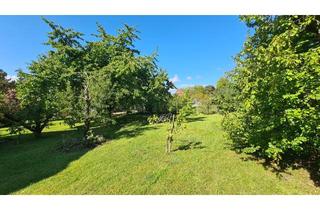 Garagen kaufen in 70825 Korntal-Münchingen, *** Großzügiges Grundstück in attraktiver Wohnlage von Münchingen! ***